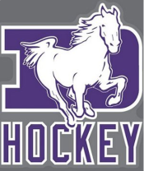 Desales Hockey